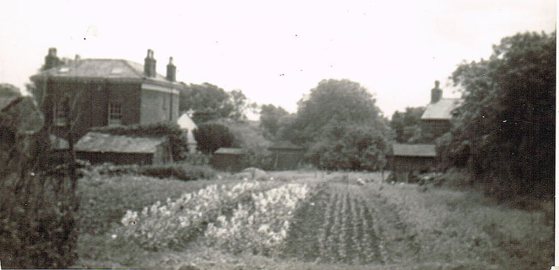 market garden at the rear of the pub